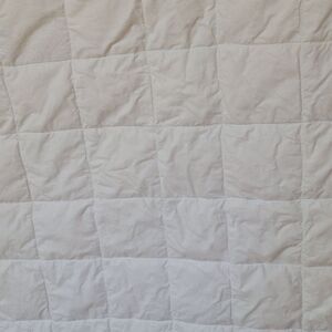 Charter Club White Cotton Lightweight Box 75% Down Fill Satin Trim Queen Blanket